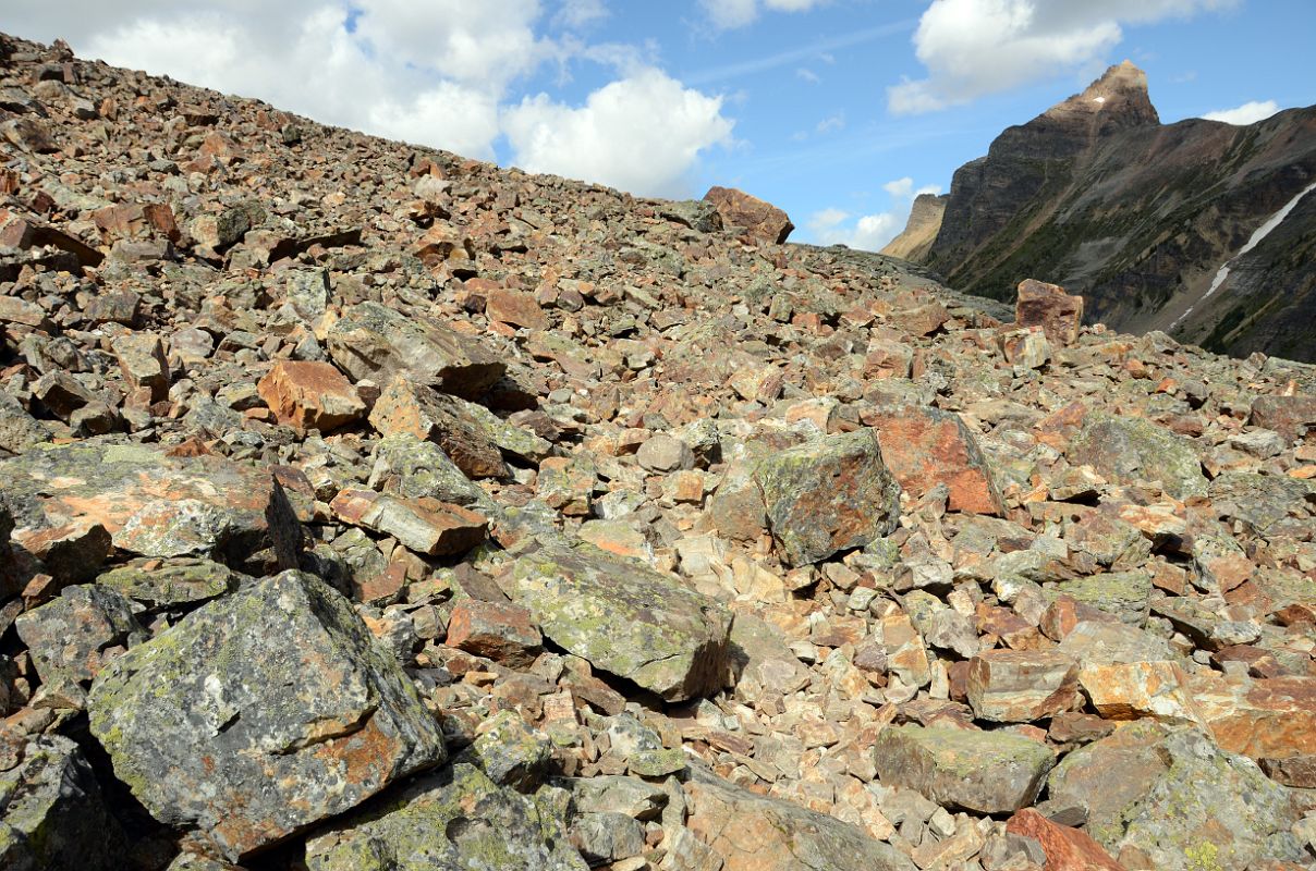 35 Rocky Yukness Ledges Trail Just After Leaving Lake Oesa Near Lake O-Hara